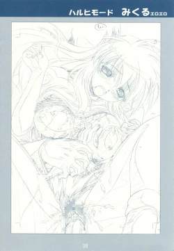 Page 28 of FLAVOR LINK