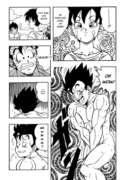 Page 17 of Dragon Ball H - Gohan & Videl