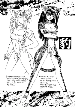 Page 12 of CAZA MAYOR