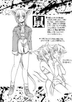 Page 14 of CAZA MAYOR