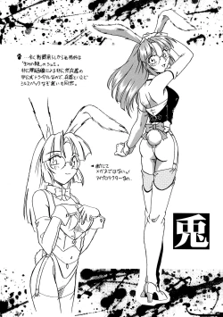 Page 16 of CAZA MAYOR