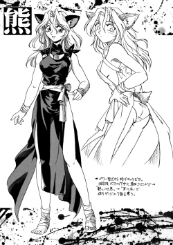 Page 17 of CAZA MAYOR