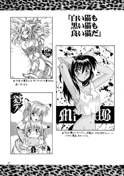 Page 27 of CAZA MAYOR