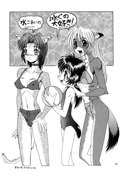 Page 13 of CAZA MAYOR 3