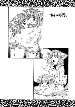 Page 16 of CAZA MAYOR 3