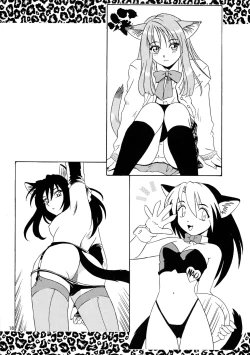 Page 18 of CAZA MAYOR 3