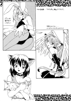 Page 19 of CAZA MAYOR 3