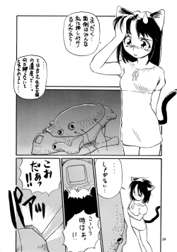 Page 24 of CAZA MAYOR 3