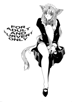 Page 2 of CAZA MAYOR 3