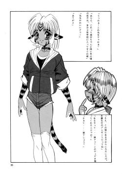 Page 33 of CAZA MAYOR 3