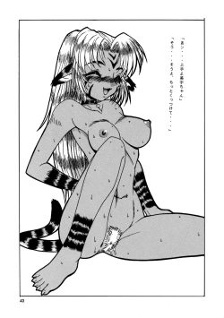 Page 43 of CAZA MAYOR 3