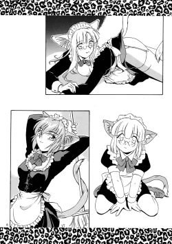 Page 6 of CAZA MAYOR 3