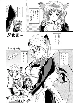 Page 9 of CAZA MAYOR 3