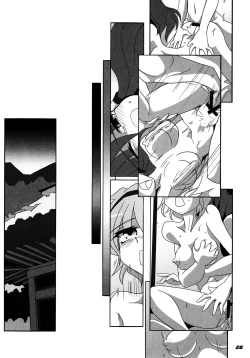 Page 27 of TOHO N+ SSR