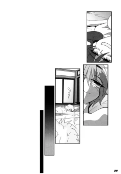 Page 29 of TOHO N+ SSR