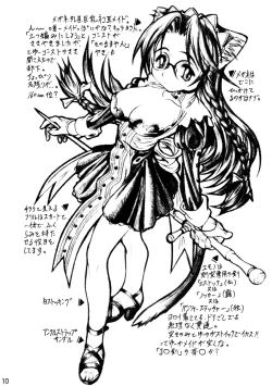 Page 10 of CAZA MAYOR