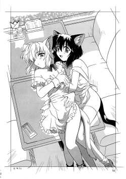 Page 16 of CAZA MAYOR