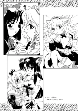 Page 17 of CAZA MAYOR