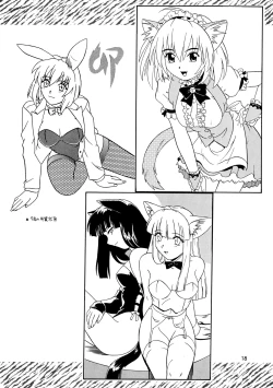 Page 18 of CAZA MAYOR