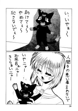 Page 24 of CAZA MAYOR