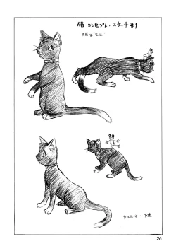 Page 26 of CAZA MAYOR