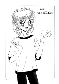 Page 27 of CAZA MAYOR