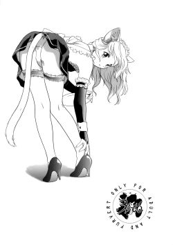 Page 2 of CAZA MAYOR