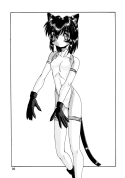 Page 39 of CAZA MAYOR