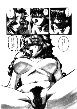 Page 25 of CAZA MAYOR 6