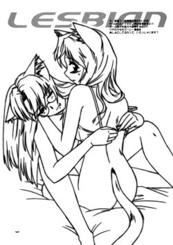 Page 41 of CAZA MAYOR 6