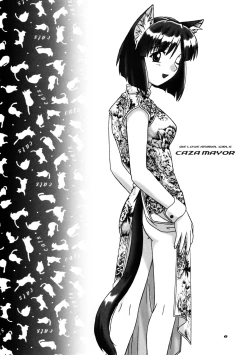 Page 6 of CAZA MAYOR 6