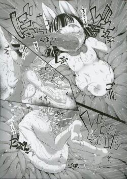 Page 20 of Shoukanjuu Ihou Shoukan Tenpo Ura