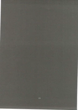 Page 30 of Dina-chan no Erohon V3