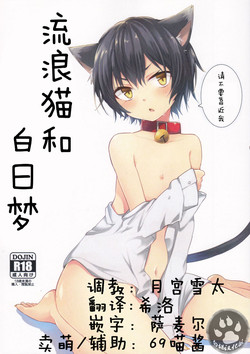 Download Nora Neko to Hakuchuumu | 流浪猫和白日梦