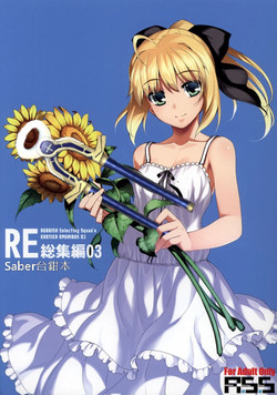 Download RE Soushuuhen 03