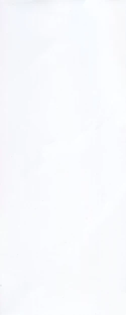 Page 4 of In-nyu 100%