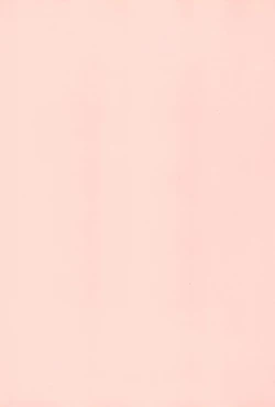 Page 3 of Ayanami Hokan KeikakuKaiteiban