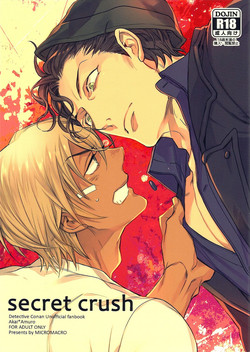 Download secret crush