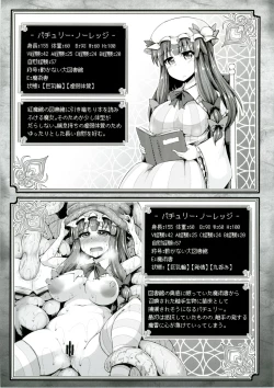 Page 28 of Touhou Ero Status Goudou