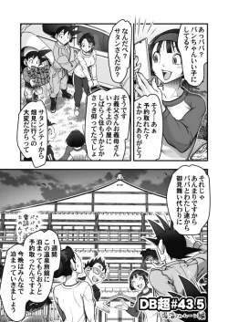 Page 3 of DBS #43.5