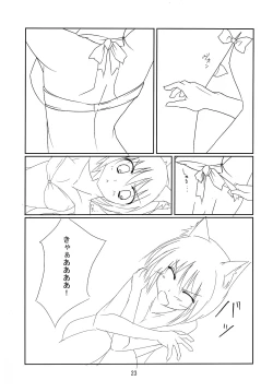 Page 22 of RAN × Yukari AND Alice × Marisa