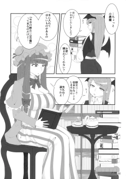 Page 3 of Patchouli no Hitori Ecchi Hon