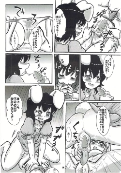 Page 13 of Touhou Shiro Shitagi - Panty Explosion of Rabbit.
