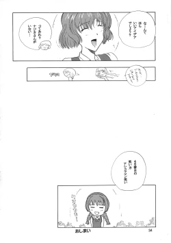 Page 33 of NAJICA FLASH