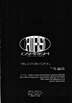 Page 41 of Orange Wristband II