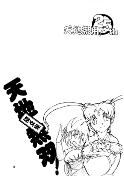 Page 2 of Tenchi Musou! Inkouki