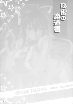 Page 3 of Himitsu no Madousho