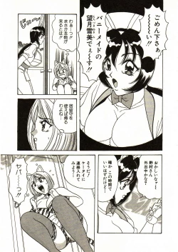 Page 11 of Itoshi no Bunny Maid