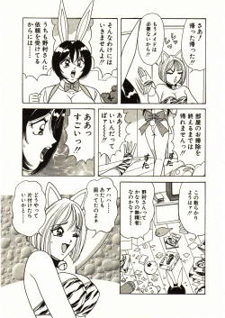 Page 13 of Itoshi no Bunny Maid
