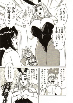 Page 43 of Itoshi no Bunny Maid